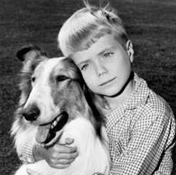 Jon Provost who was Timmy in "Lassie" plus more TV Sitcoms as a Teen