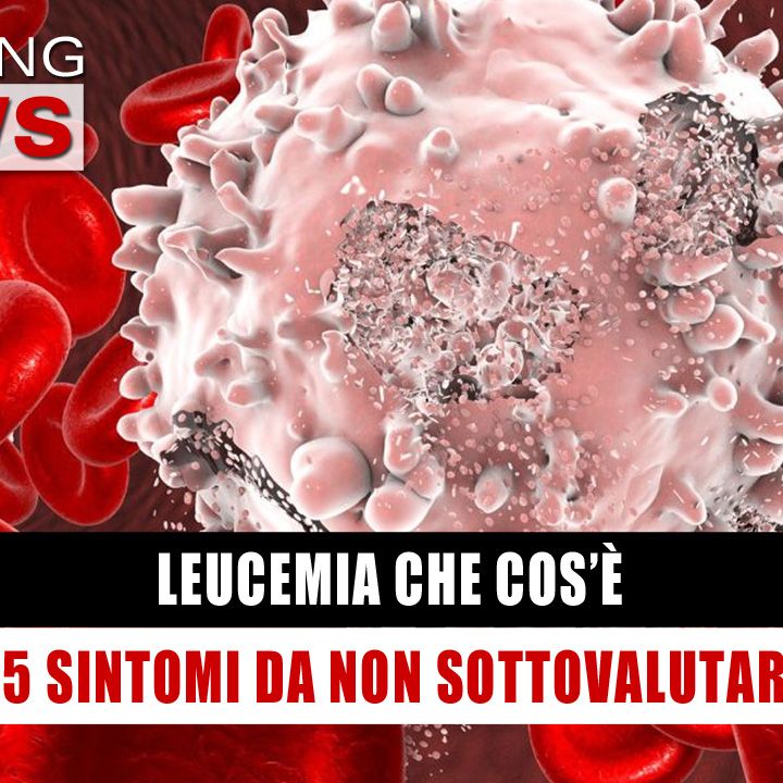 Leucemia Che Cos'è: I 5 Sintomi Da Non Sottovalutare! 