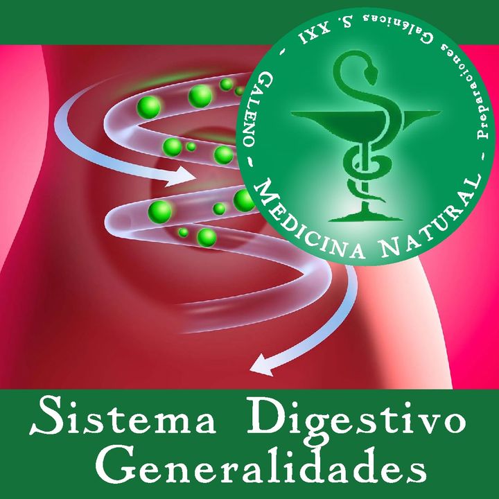 Sistema Digestivo - Generalidades