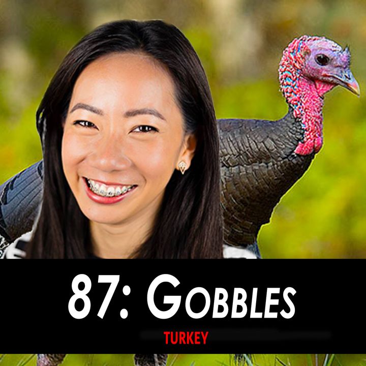 87 - Gobbles the Turkey