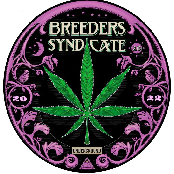 Cannabis Breeding 4 Base Lines for Modern Breeding NL Haze Skunk1 OG Kush Urkel Cookies S08 E12