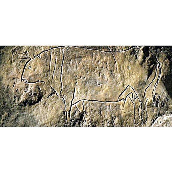 Grotta del Romito e il Bos primigenius