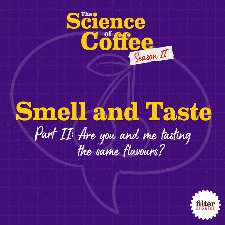 Smell and Taste, Part 2: Are you and me tasting the same flavours?