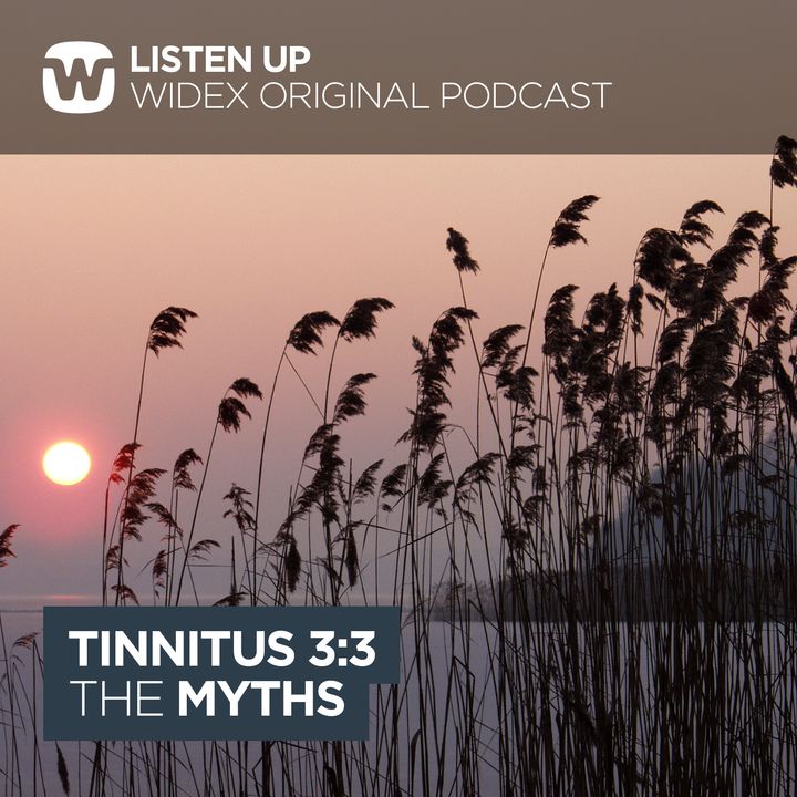 Myths [tinnitus part III]