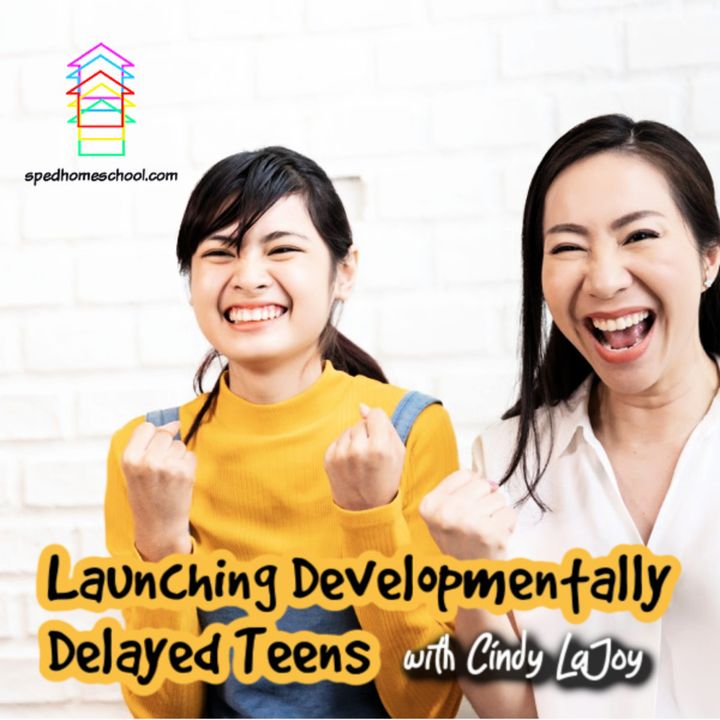 How to Launch a Developmentally Delayed Teens