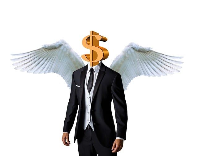 Business Angel sau investitorul providențial. Ce este și cum îl găsim?