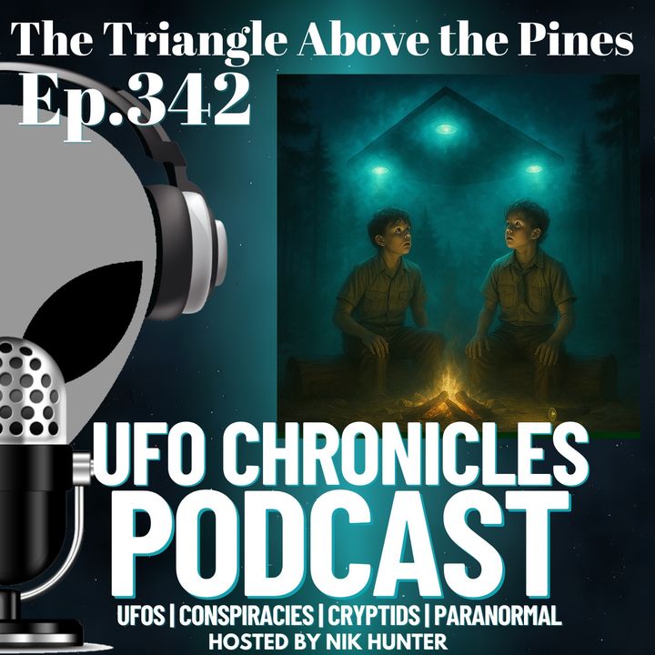 Ep.342 The Triangle Above the Pines artwork