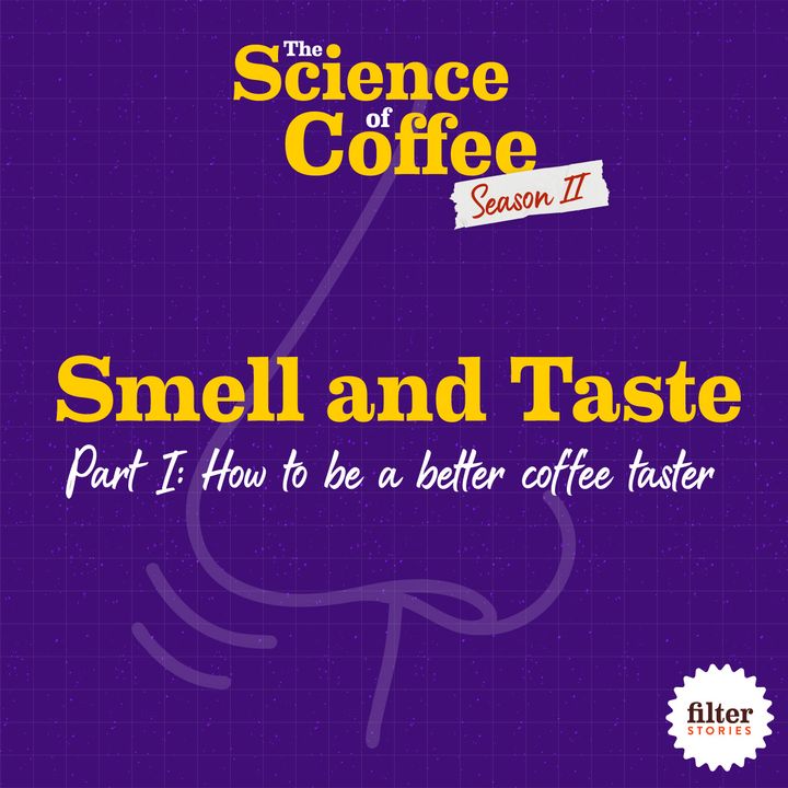 Smell and Taste, Part 1: How to be a better coffee taster