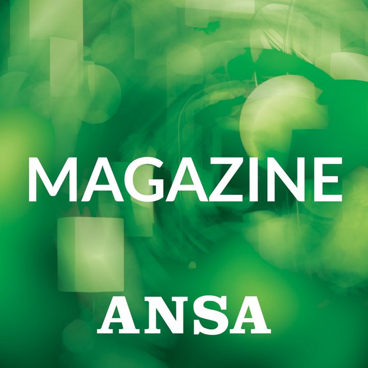 ANSA Magazine