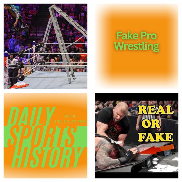 Pro Wrestling "Fake"