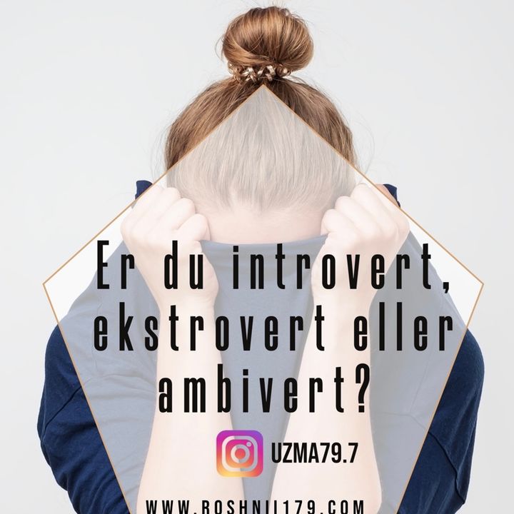 Er du introvert, ekstrovert eller ambivert?