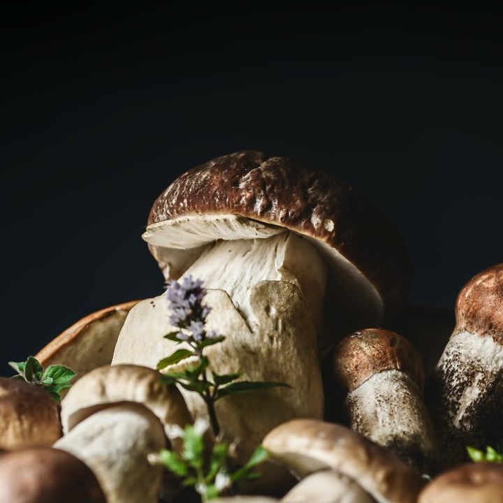 Le ricette del Minestrello: i funghi Portobello ripieni