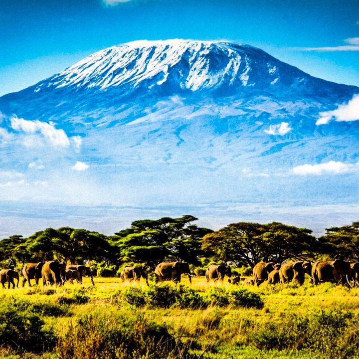 Kilimanjiaro, dalla savana al cielo