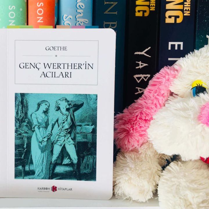 06. Genç Werther'in Acıları Goethe ( Sesli Kitap 6. Bölüm ) #seslikitap #audiobook #goethe