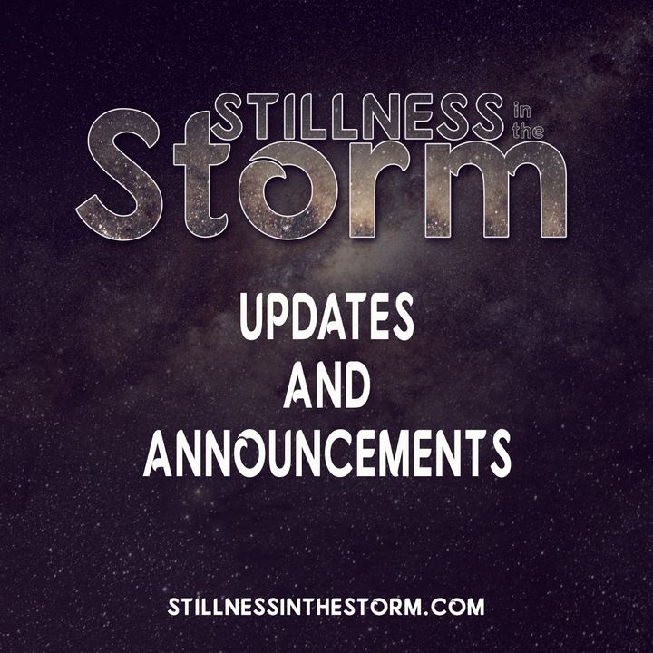 Stillness in the Storm Show