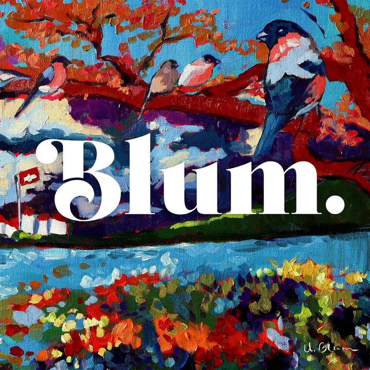 Blum (Español)
