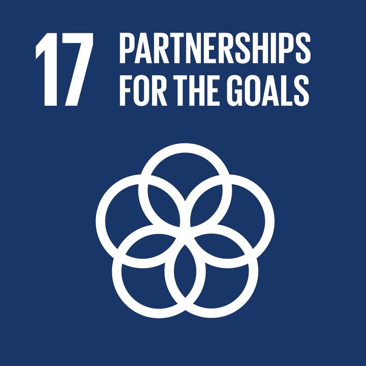 SDG 17 - Rafforzare i mezzi di attuazione e rinnovare il partenariato mondiale per lo sviluppo sostenibile