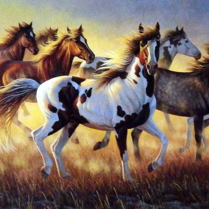 The Weekly Inspiration - The Wild Horse