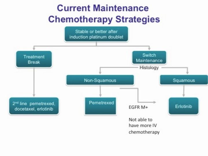 Highlights in Lung Cancer, 2013, Part 5: Maintenance Therapy in Advanced NSCLC (video)
