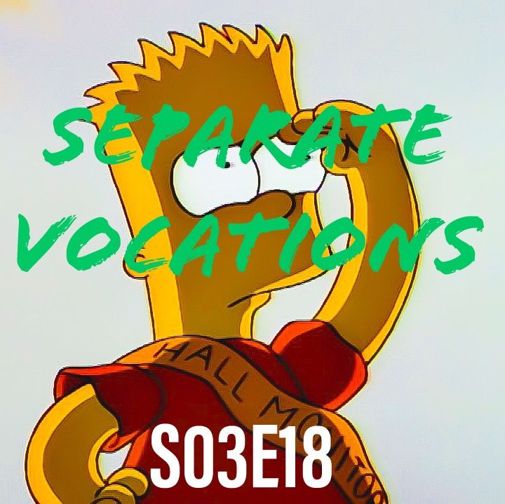 18) S03E18 (Separate Vocations)