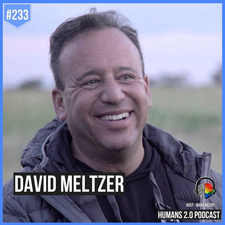 233: David Meltzer | $120 Million to Bankrupt to Humanitarian of the Year