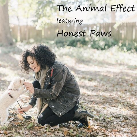 The Animal Effect featuring Honest Paws