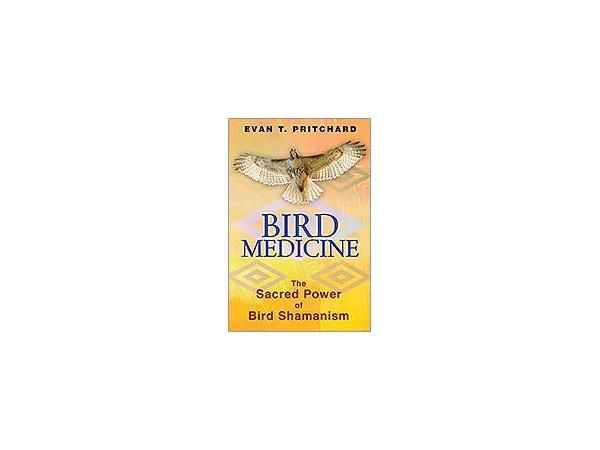 Bird Medicine:  The Sacred Power of Bird Shamanism