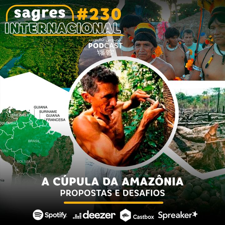 #230 | A Cúpula da Amazônia: propostas e desafios