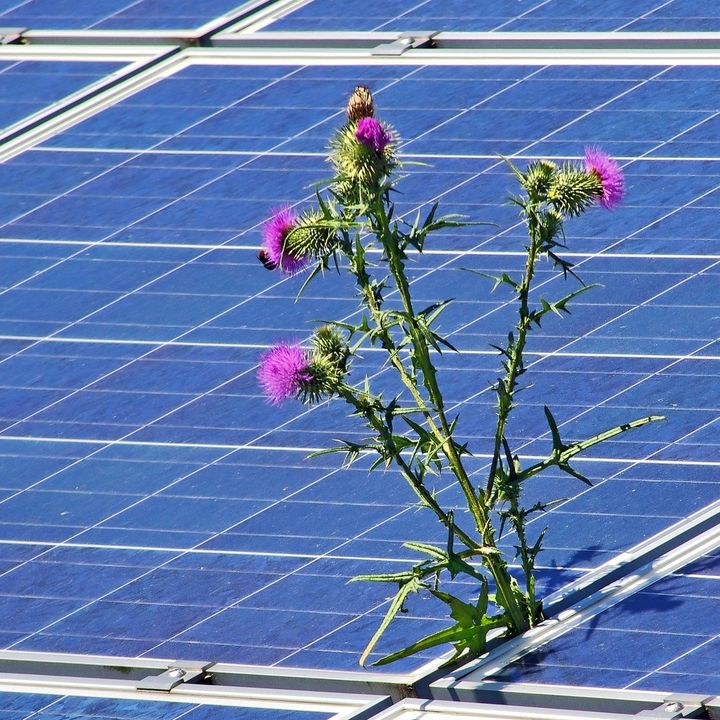 La fotovoltaica y los marcos regulatorios ! el charco #38