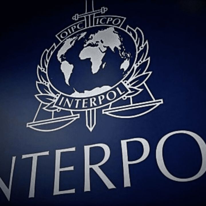 #154 La Interpol | La cooperación mundial contra el crimen