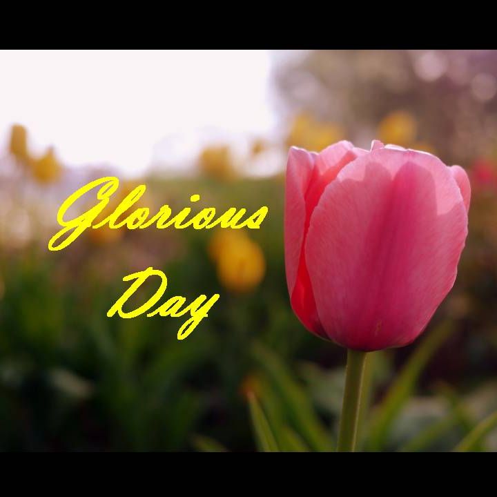 GLORIOUS DAY - pt3 - When Jesus Finds You