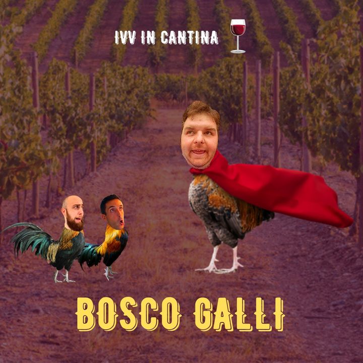 #28 - IVV in Cantina - Bosco Galli