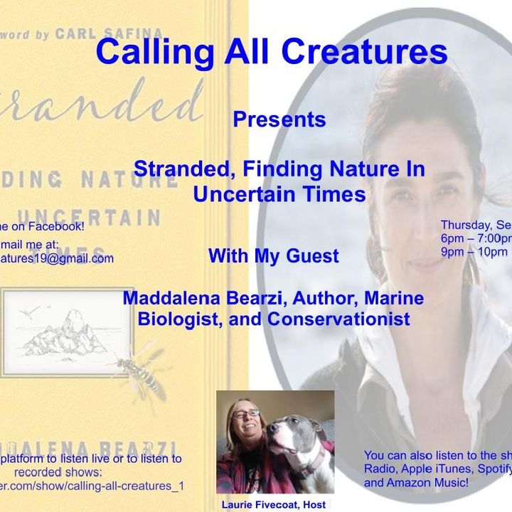 Calling All Creatures Presents Stranded, Finding Nature In Uncertain Times