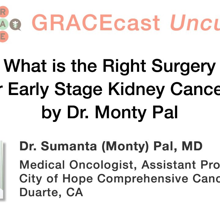 What is the Right Surgery for Early Stage Kidney Cancer?, by Dr. Monty Pal