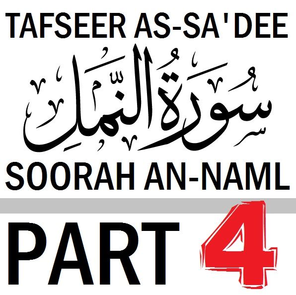 Soorah an-Naml Part 4: Verses 17-19