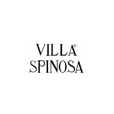 Villa Spinosa - Enrico Cascella Spinosa
