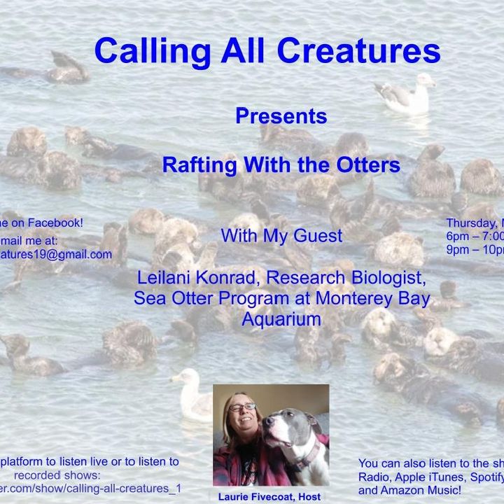 Calling All Creatures Presents Rafting With the Otters