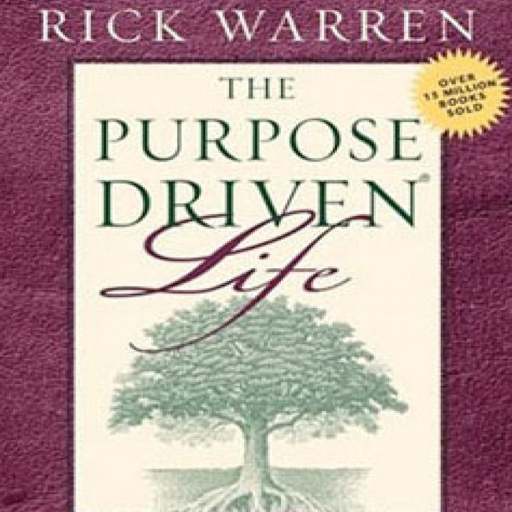 #228 - Only You Can Be You (Purpose Driven Life, Ch 31)