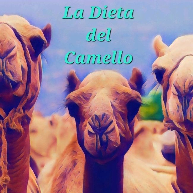 Cap.2.1 Dos Camellos y Una Llama