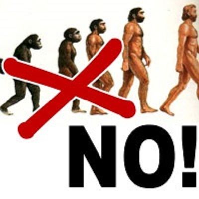 La vera scienza non ha dubbi: non deriviamo dalle scimmie