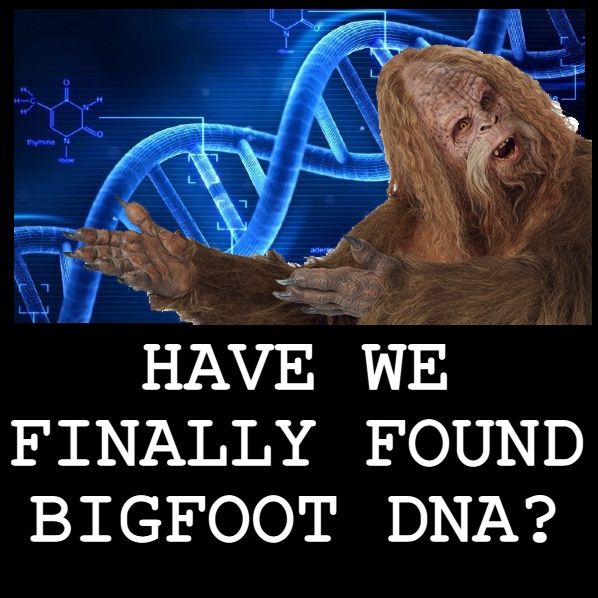 #BonusBite “HAVE WE FINALLY FOUND BIGFOOT DNA?”  #WeirdDarkness