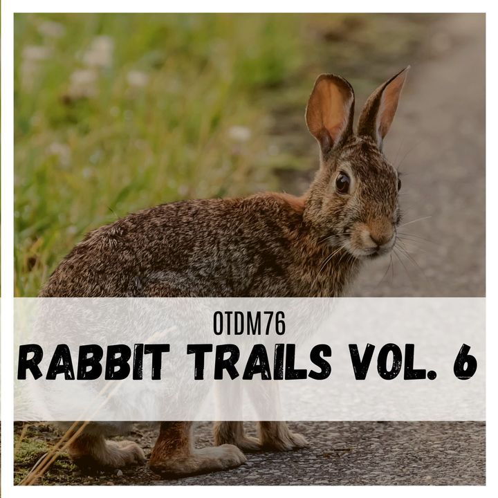 OTDM76 Rabbit Trails Vol. 6