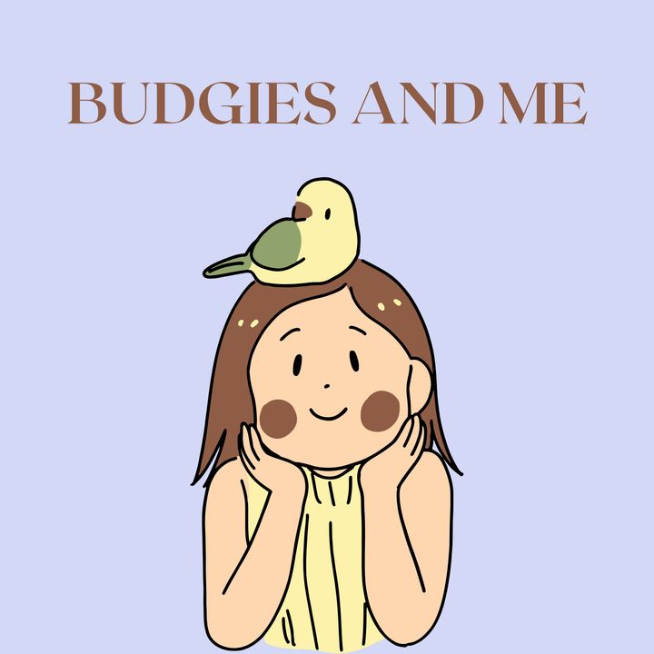 Budgies and Me