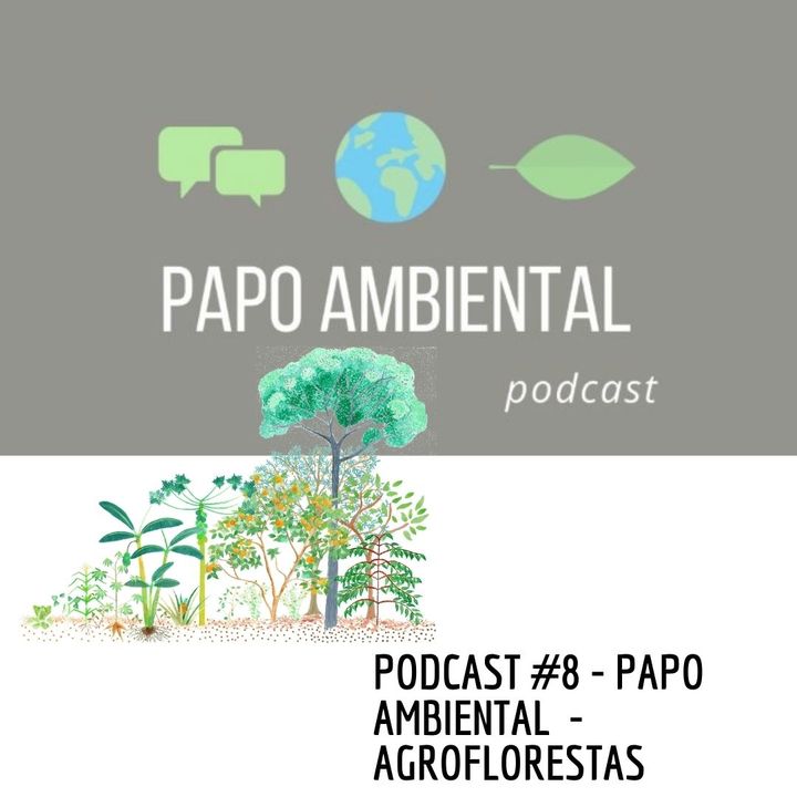 Podcast #8 - Agroflorestas
