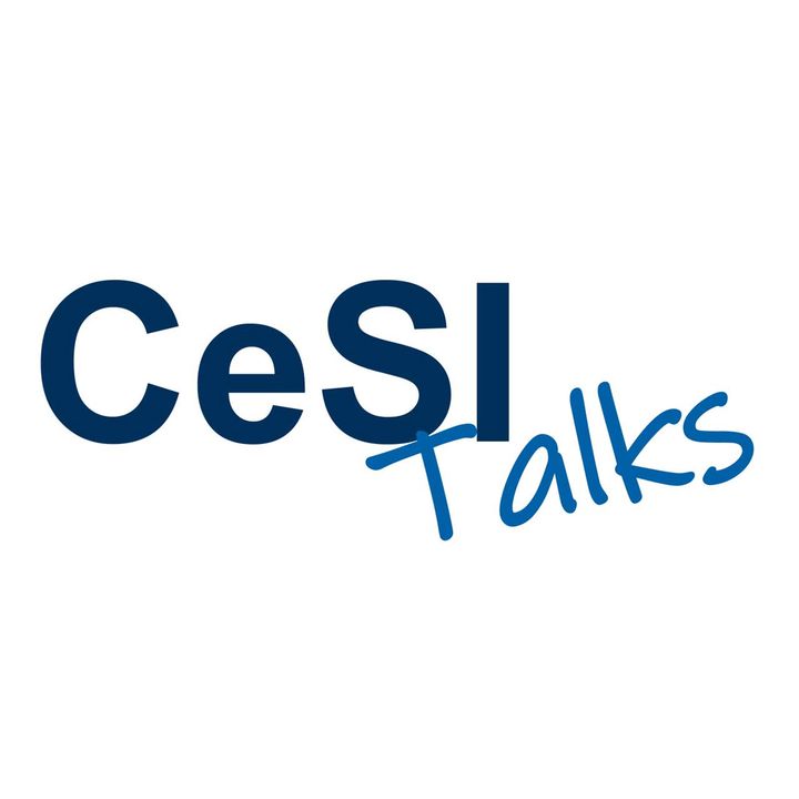 CeSI Talks
