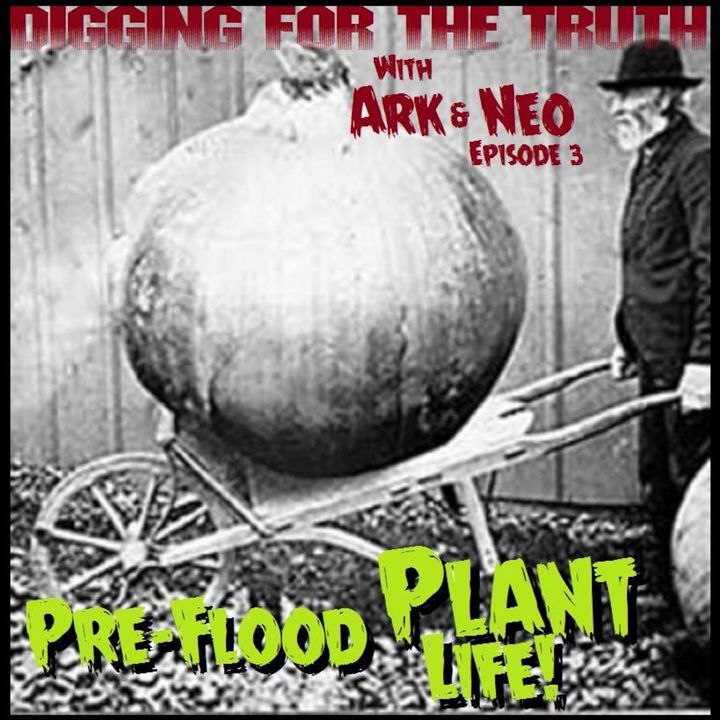 DIGGING FOR THE TRUTH WITH ARK AND NEO #3 (PRE-FLOOD PLANTS AND GIANT PUMPKINS) 3/11/14