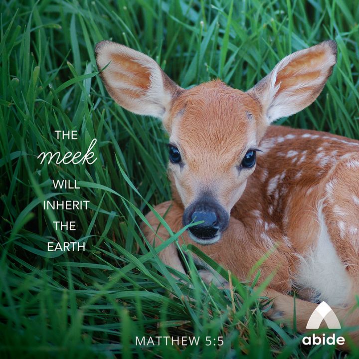 Beatitudes: Blessed Are the Meek