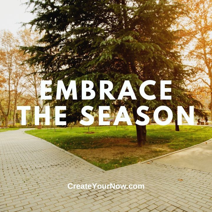 3151 Embrace the Season