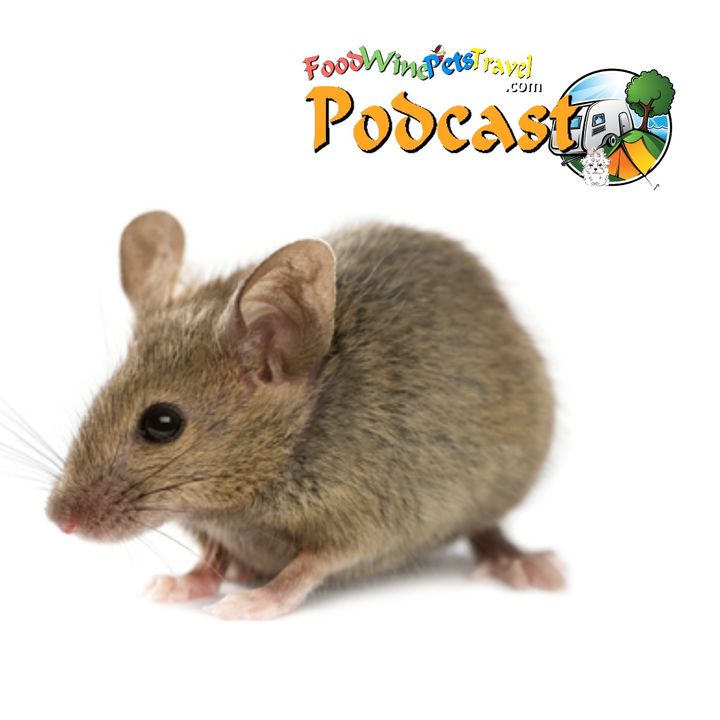 Bloody Mice! - Our Story! - Brian & Kaye