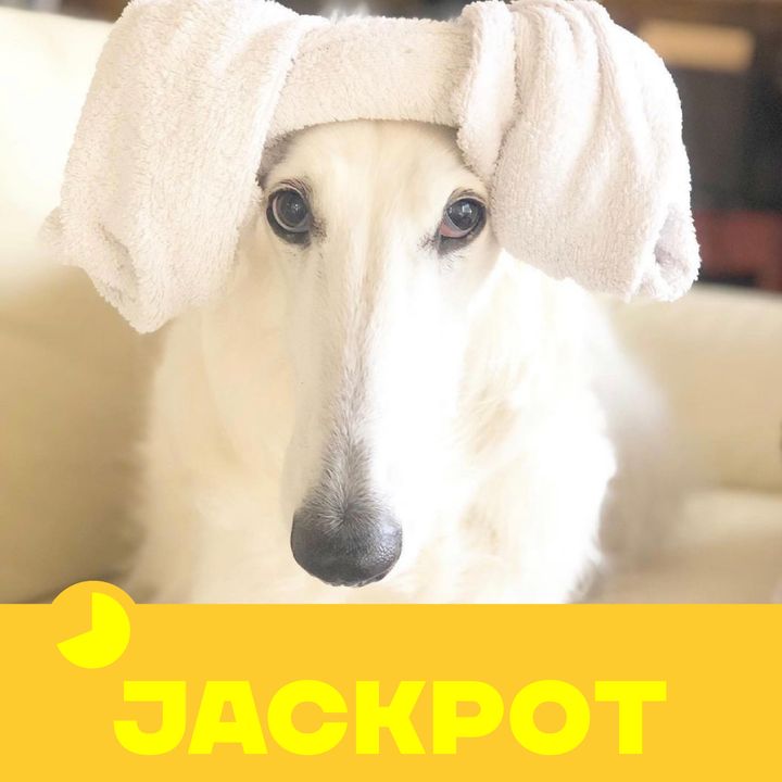 JACKPOT 17